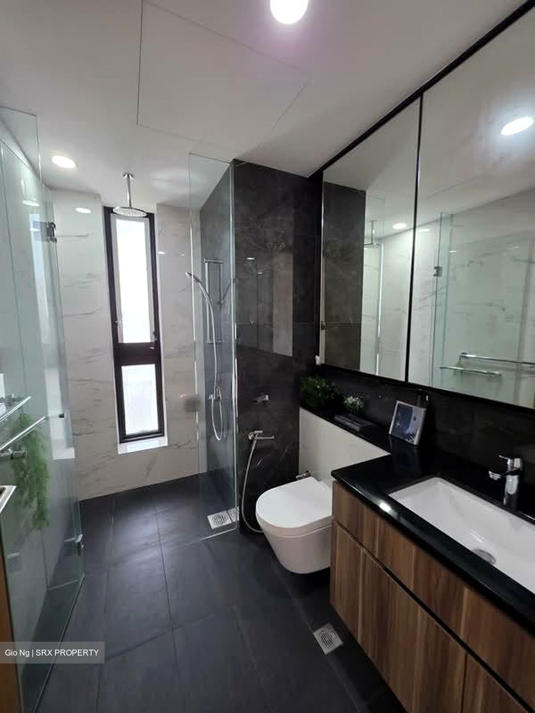 The Verandah Residences (D5), Apartment #579699491